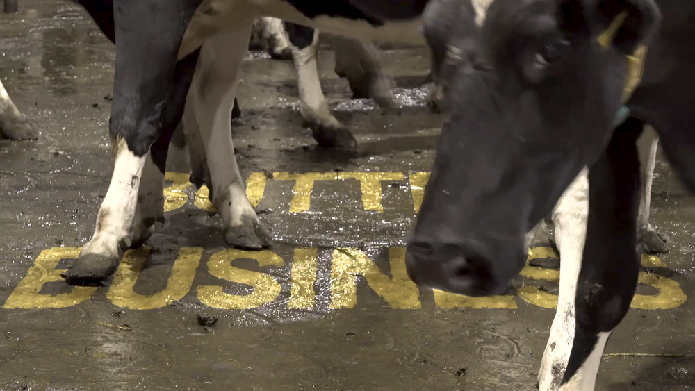 BUTTER BUSINESS: The Market Forces Making Milk More Expensive post image