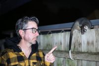 Melbourne residents battle possums as urban wildlife conflict grows post image