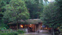 Dreamhouse post image