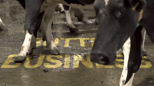 BUTTER BUSINESS: The Market Forces Making Milk More Expensive post image