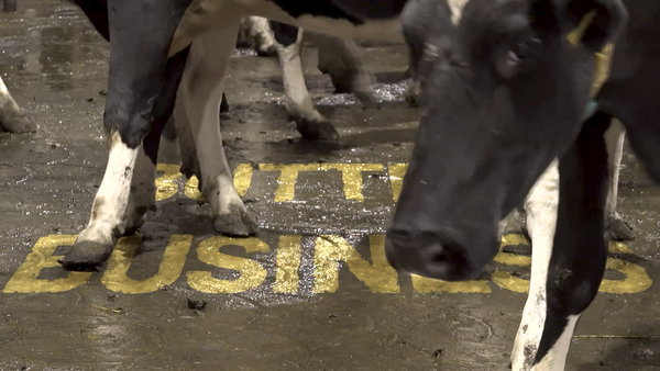 BUTTER BUSINESS: The Market Forces Making Milk More Expensive post image