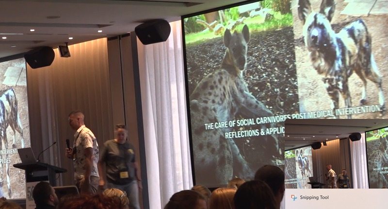 Zookeepers celebrate 50 years of collaboration post image