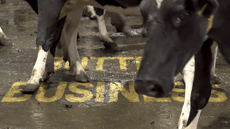 BUTTER BUSINESS: The Market Forces Making Milk More Expensive post image