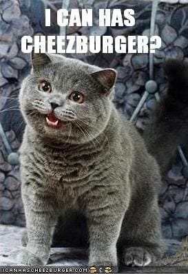 Photo of a cat with the words “I can has cheezburger?” overlaid 