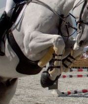 cinch / lead-pipe cinch
