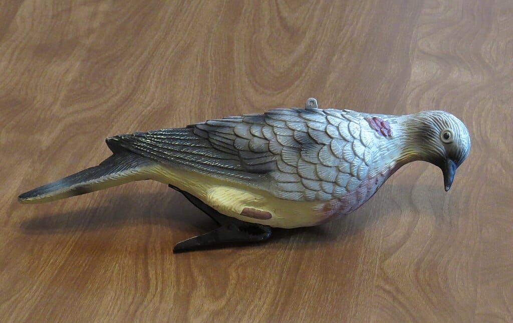A pigeon decoy