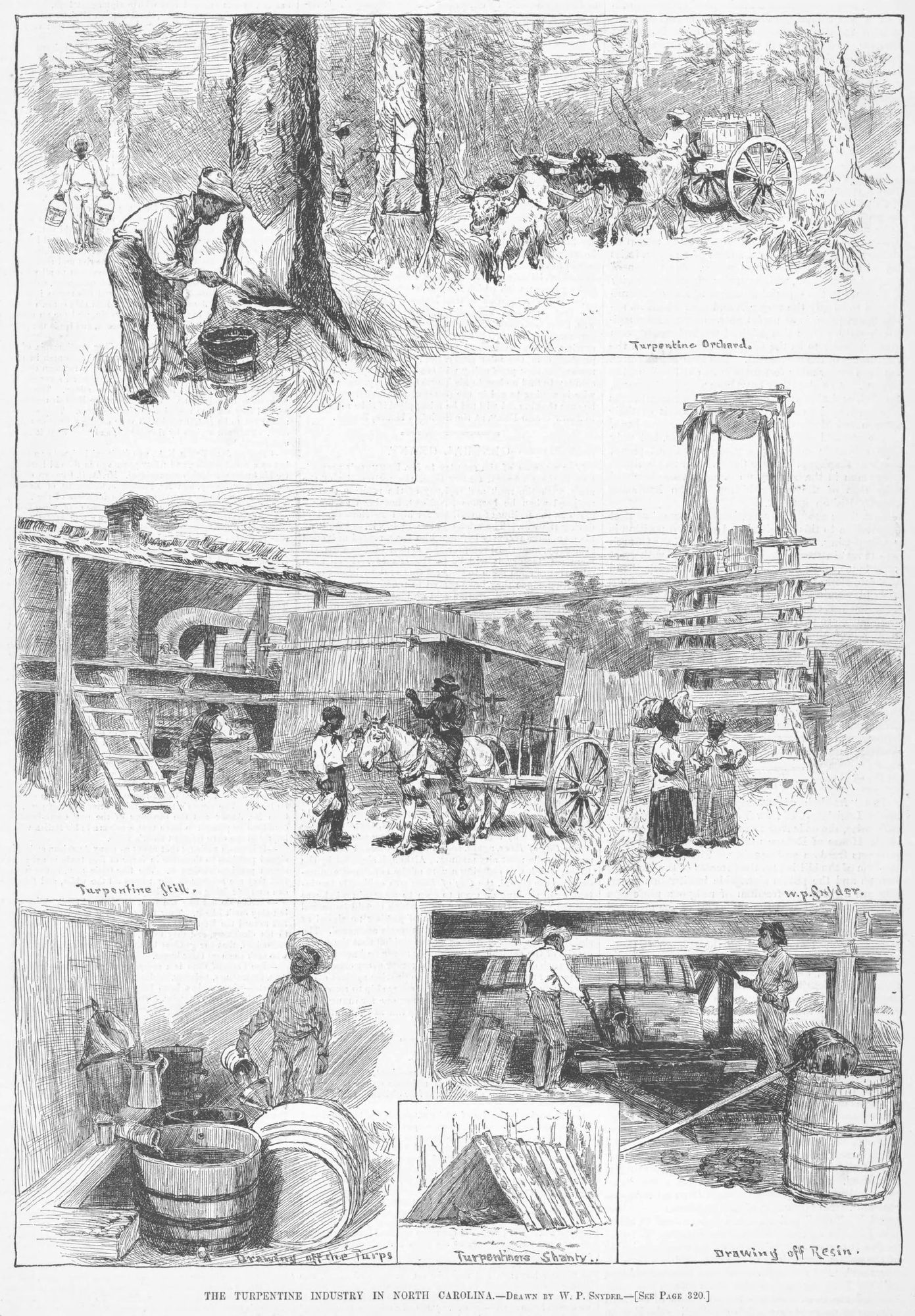 Collection of sketches of late 19th-century Black workers harvesting and processing pine-tree sap into turpentine