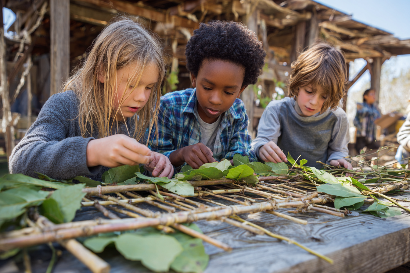Lesson Plan (Grades 3-5): Nature’s Engineering - Leaf Bridge Challenge