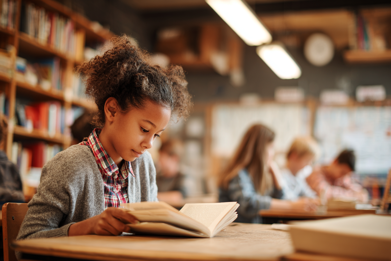 Unit Plan 19 (Grade 6 ELA): Finding and Tracking Theme