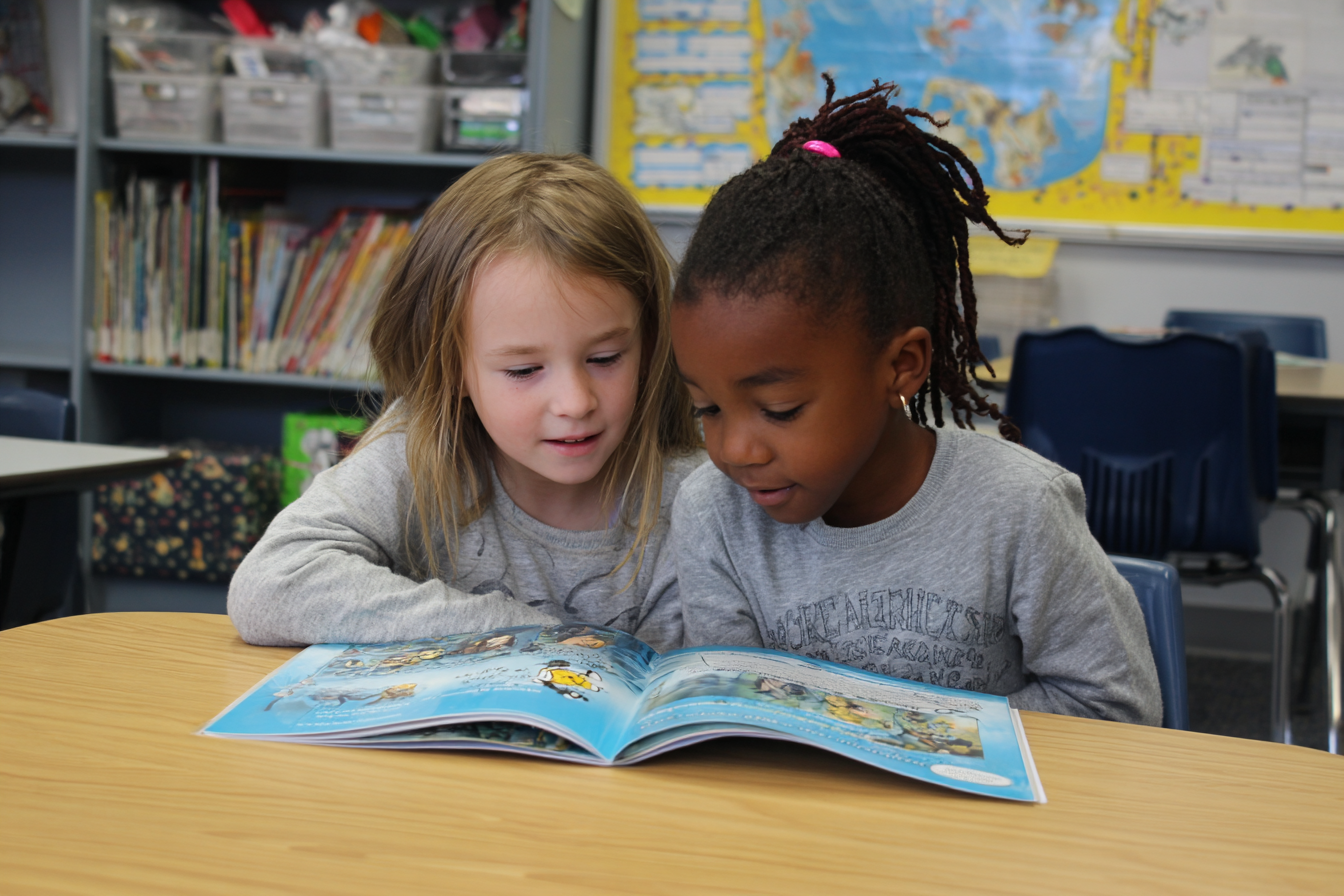 Unit Plan 11 (Grade 1 ELA): Reasons that Support Points