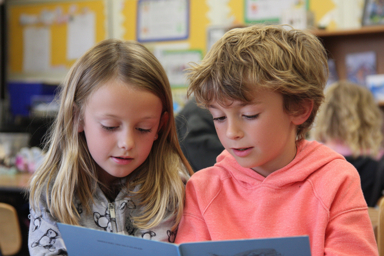 Unit Plan 27 (Grade 1 ELA): Synthesizing Across Two Texts