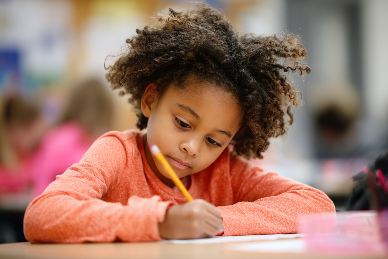 Unit Plan 4 (Grade 1 Social Studies): Symbols of Our School and Community