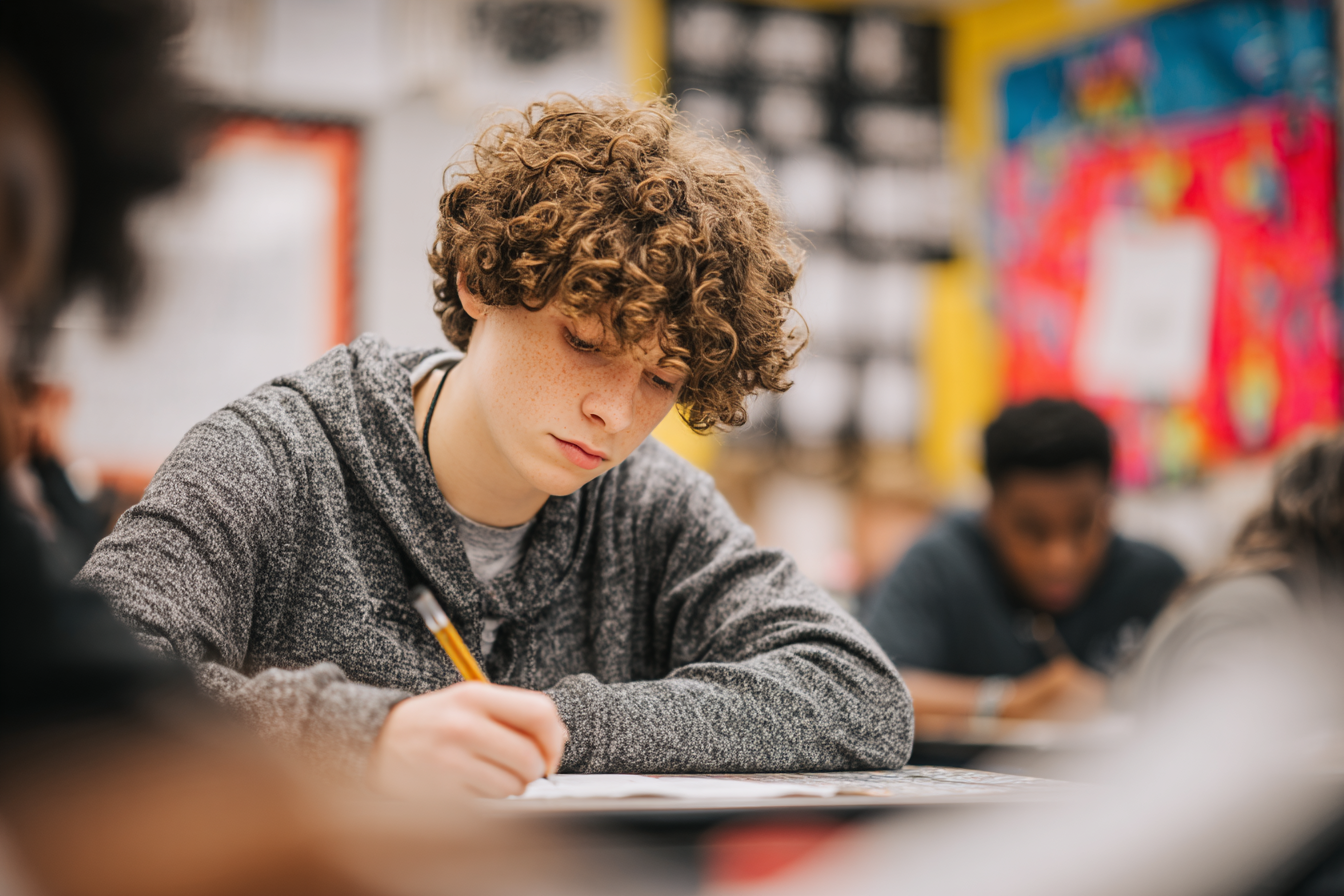 Unit Plan 30 (Grade 8 Social Studies): Turning Points and the Emancipation Proclamation