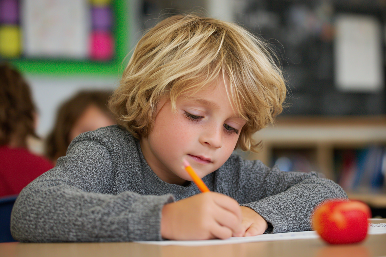 Unit Plan 17 (PreK Social Studies): Holidays Around the World