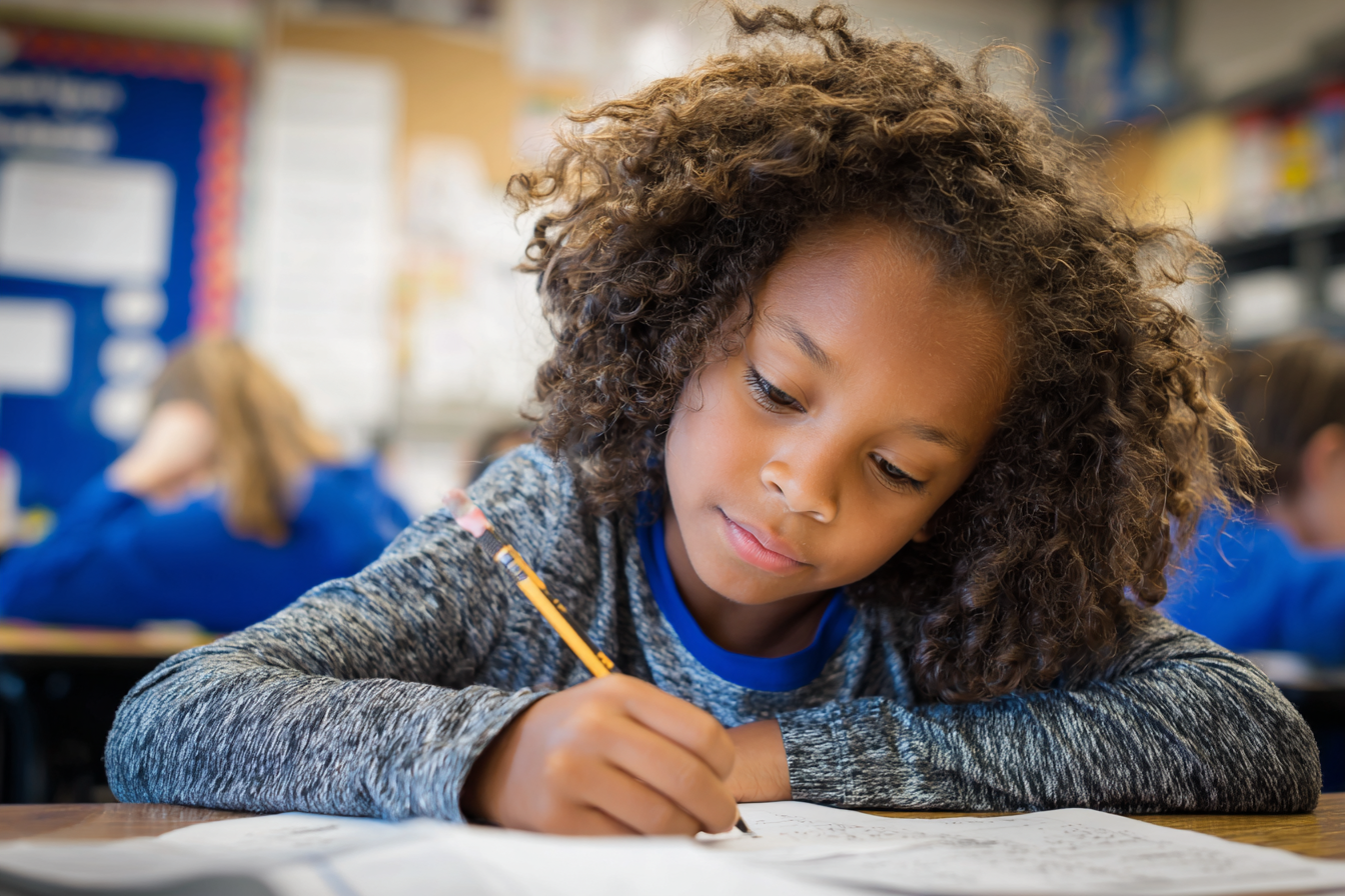 Unit Plan 33 (Grade 3 Science): Environmental Impact Studies