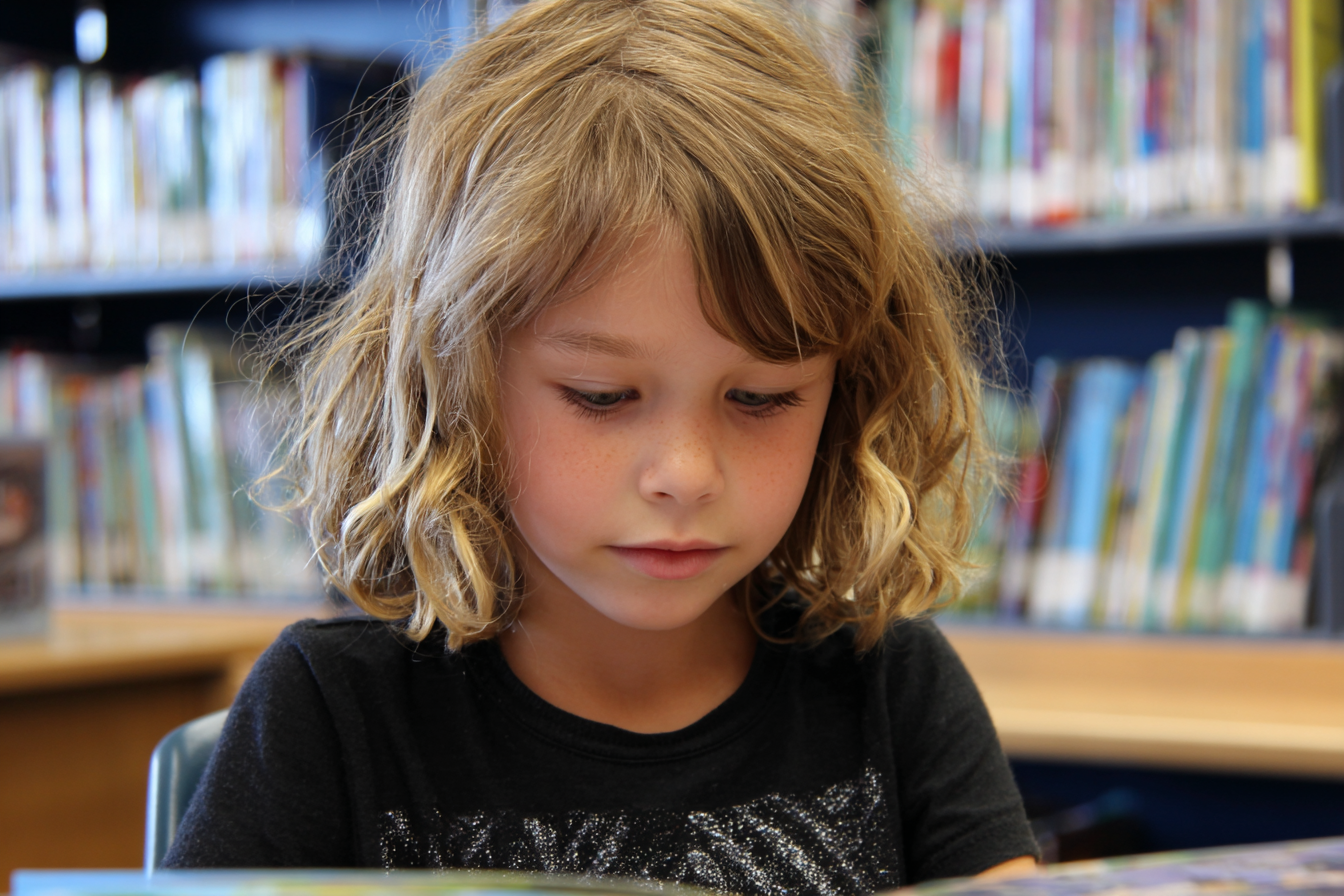 Unit Plan 31 (Grade 1 Library): Books, Audio, Images, and Tools for Learning