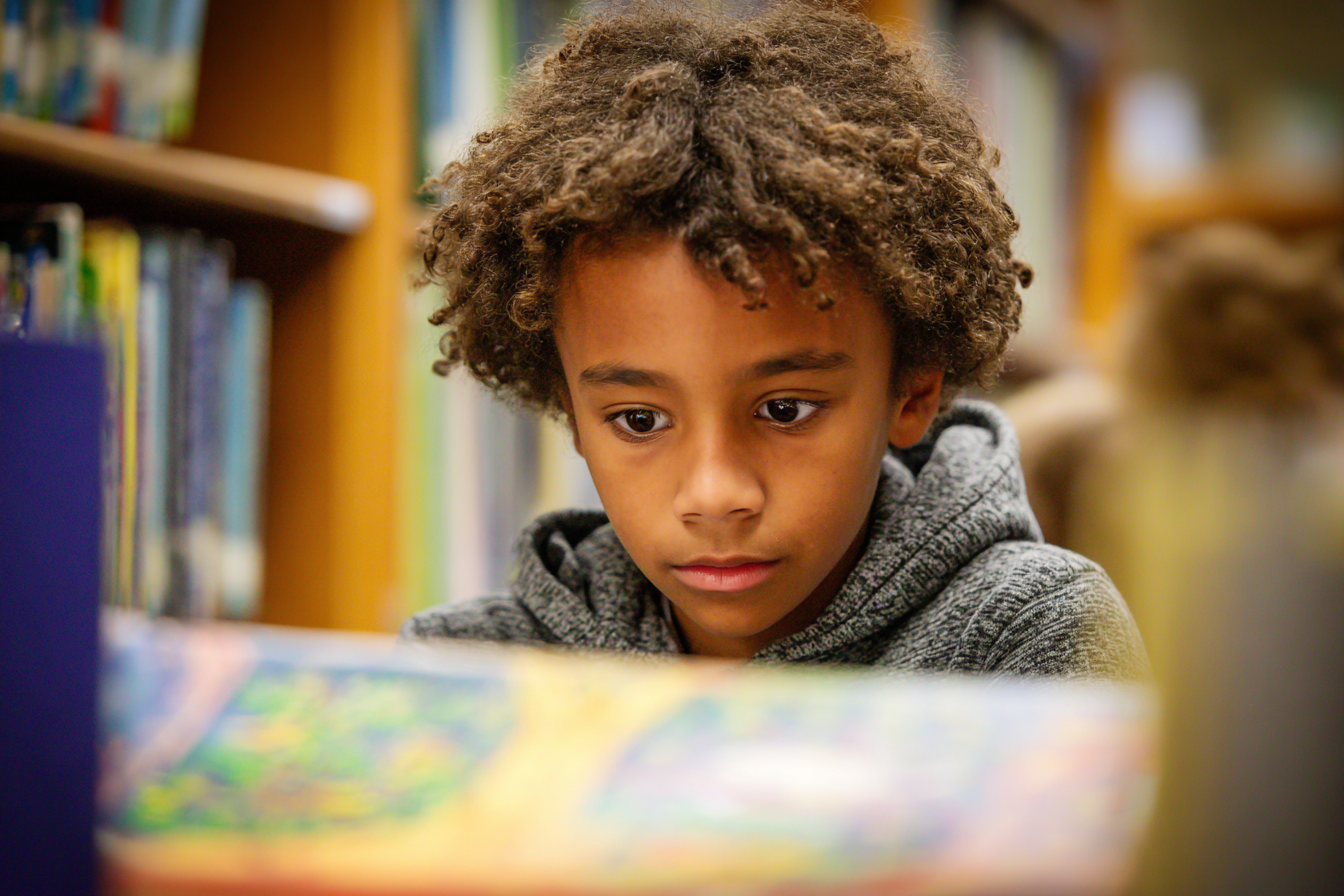 Unit Plan 13 (Grade 3 Library): Fiction and Nonfiction for Different Purposes