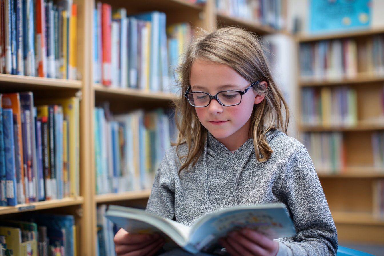 Unit Plan 13 (Grade 2 Library): Fiction and Nonfiction with More Purpose