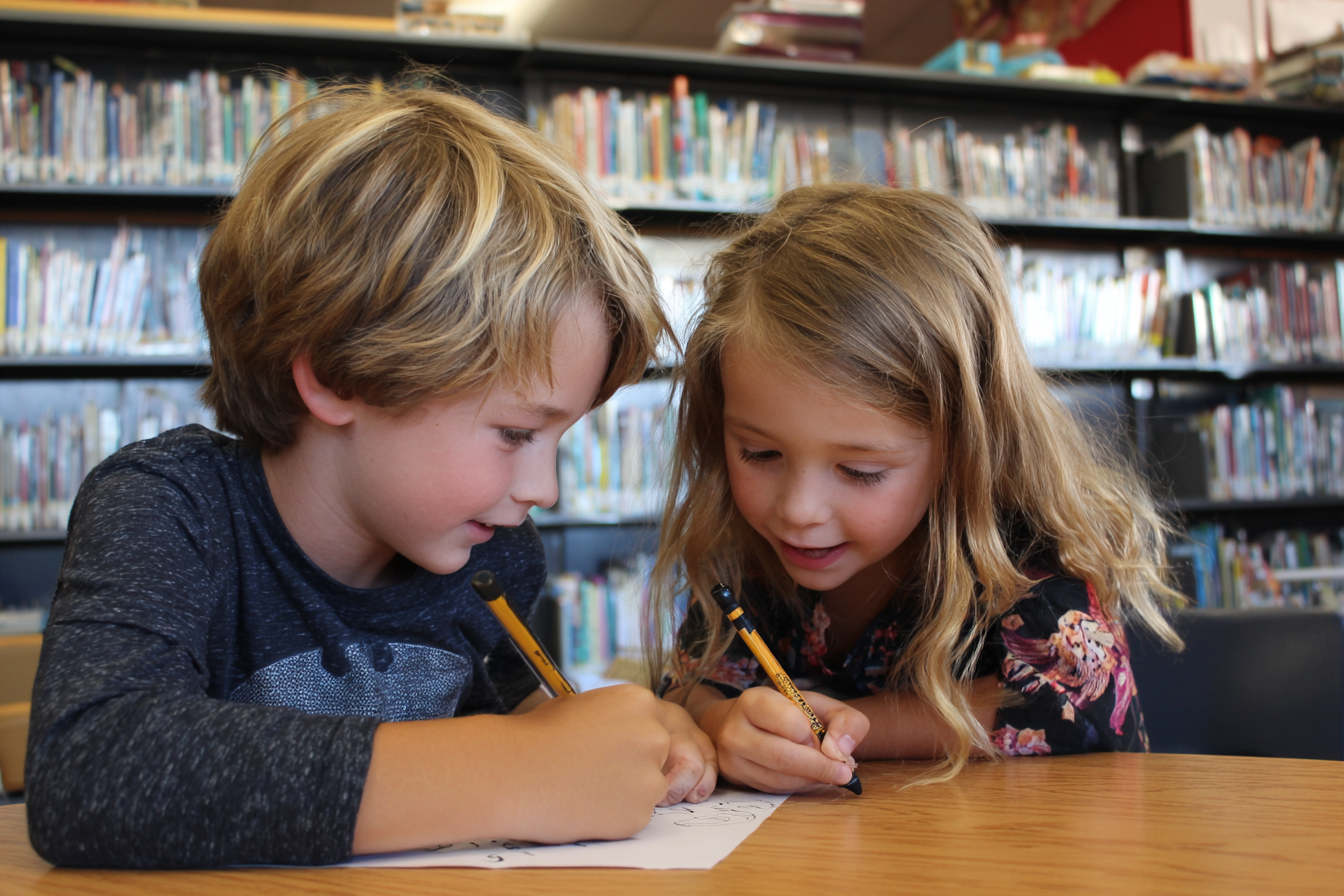 Unit Plan 25 (Grade 1 Library): Group Discussion and Shared Thinking