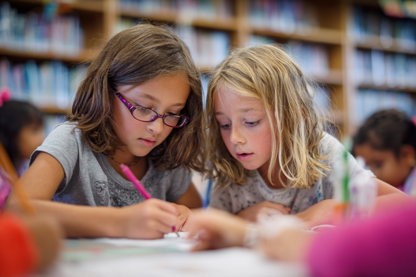 Unit Plan 16 (Grade 3 Library): Main Events and Main Idea