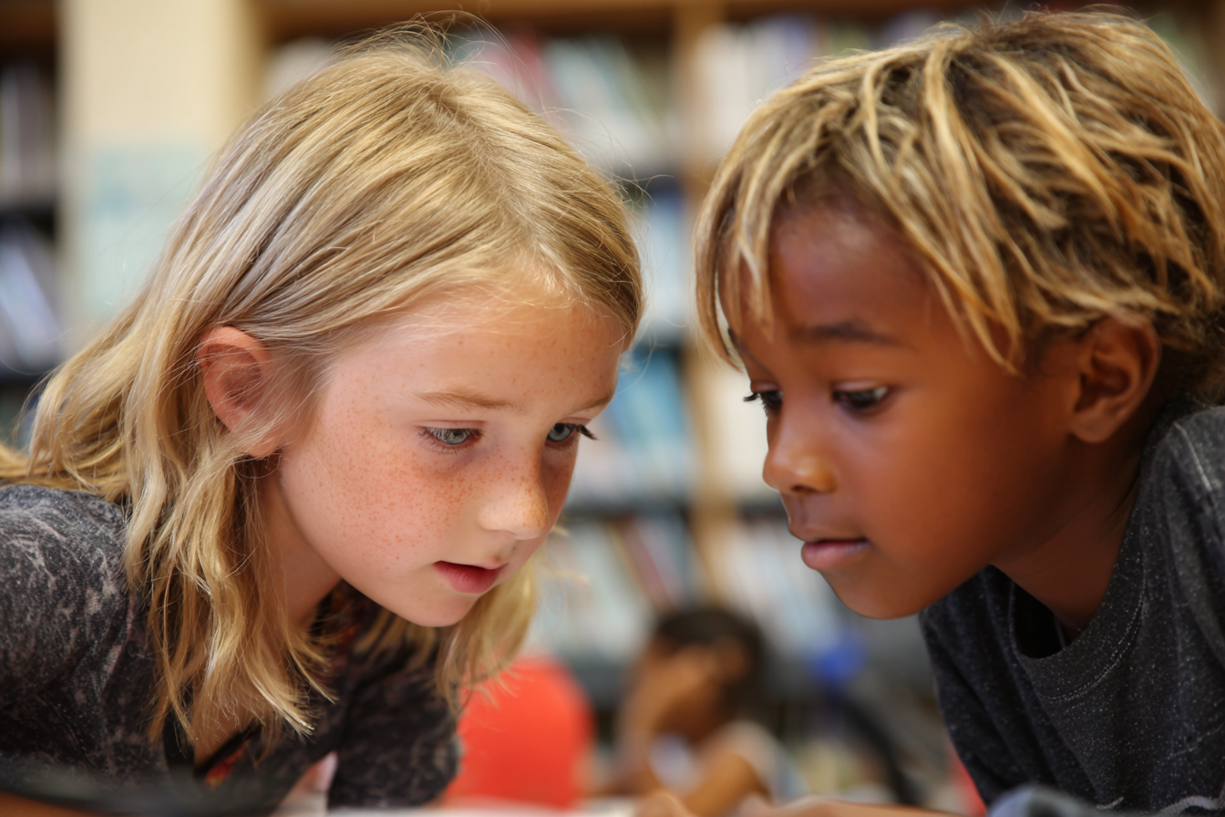 Unit Plan 21 (Grade 2 Library): Organizing Information in Simple Ways