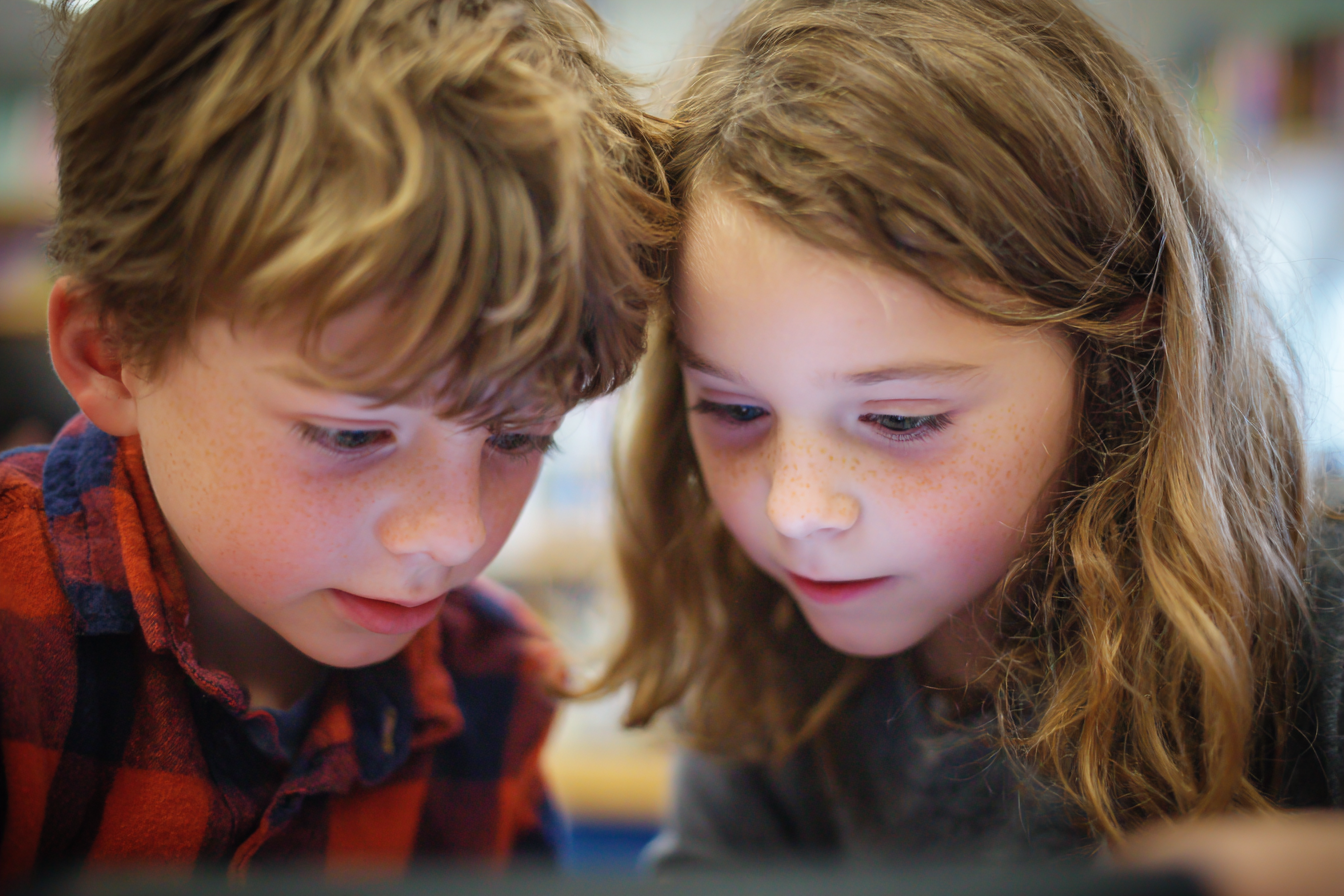 Unit Plan 21 (Grade 3 Library): Organizing Notes and Ideas