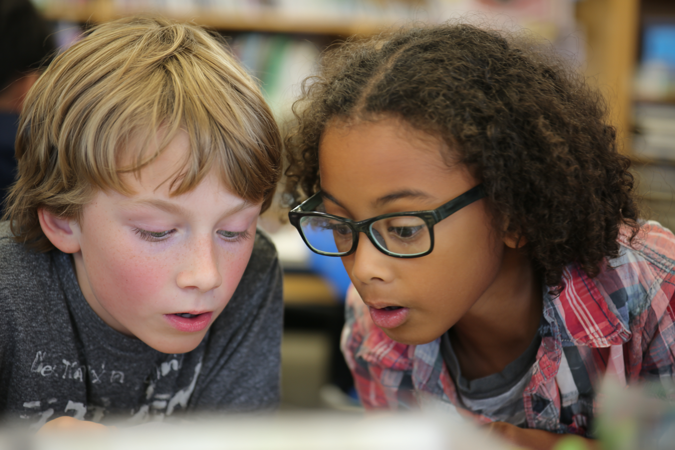 Unit Plan 12 (Grade 2 Library): Sorting, Grouping, and Comparing Books