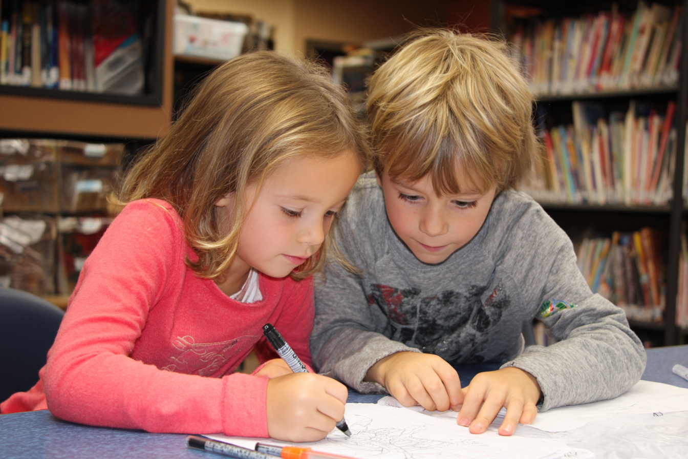 Unit Plan 21 (Grade 1 Library): Sorting and Organizing Library Materials