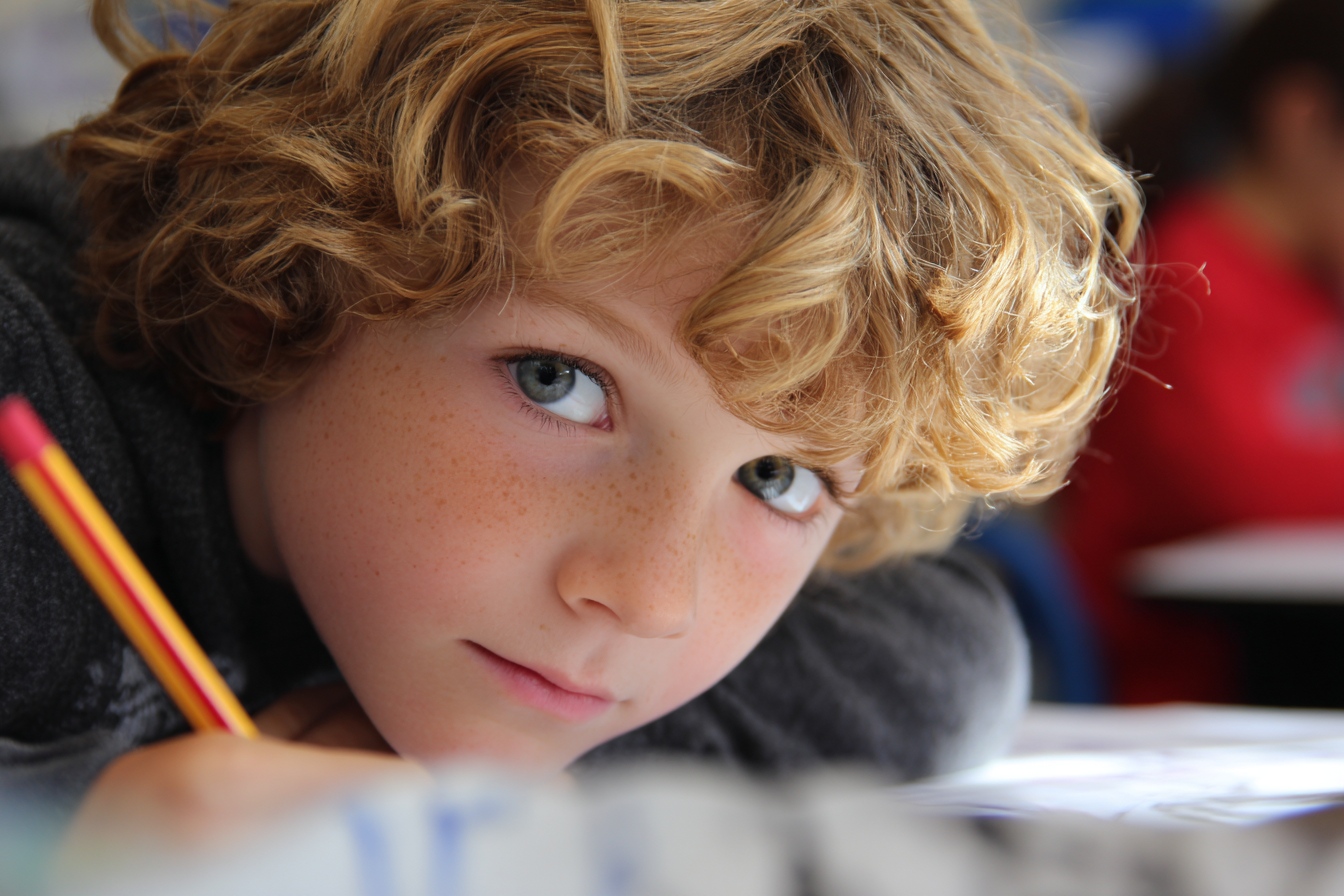 Unit Plan 4 (Grade 5 Counselor): Empathy and Respectful Leadership