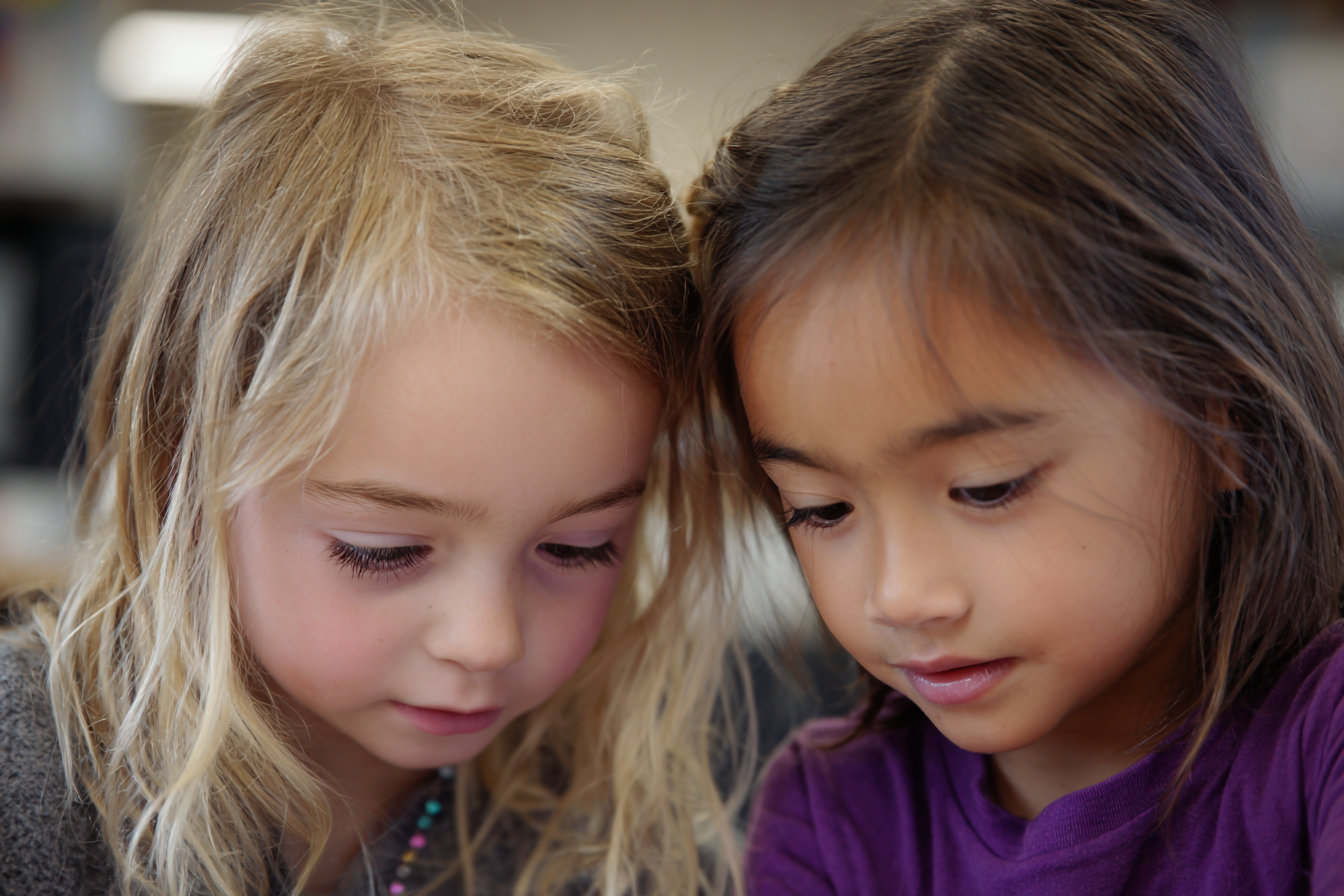 Unit Plan 25 (Grade K Library): Sharing Ideas in Discussion