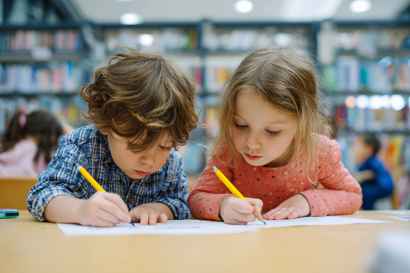 Unit Plan 12 (PreK Library): Working with a Partner