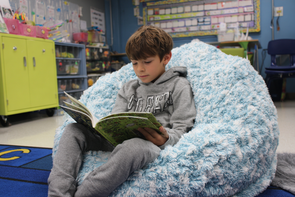 Unit Plan 4 (Grade 3 ELA): Building a Small-Moment Narrative