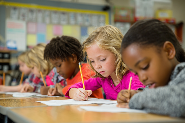 Unit Plan 33 (Grade 3 ELA): Summarizing and Synthesizing Information