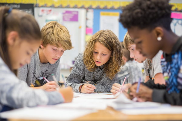 Unit Plan 8 (Grade 5 ELA): Informative Paragraphs to Sections