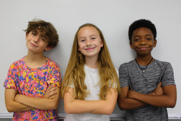 Unit Plan 7 (Grade 4 ELA): Main Idea, Details, and Summaries