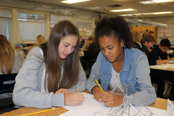 Unit Plan 27 (Grade 8 Math): Geometry Mixed Review—Transform, Compare, Solve