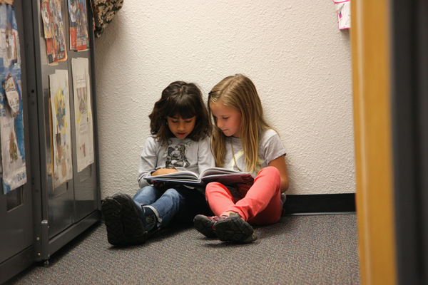 Unit Plan 35 (Grade 5 ELA): Author Study – Style and Craft