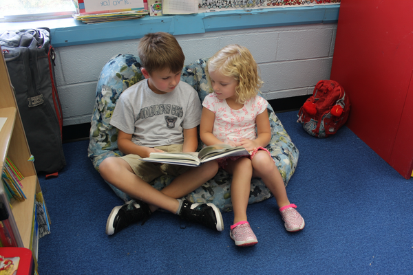 Unit Plan 7 (Grade 2 ELA): Main Topic and Key Details