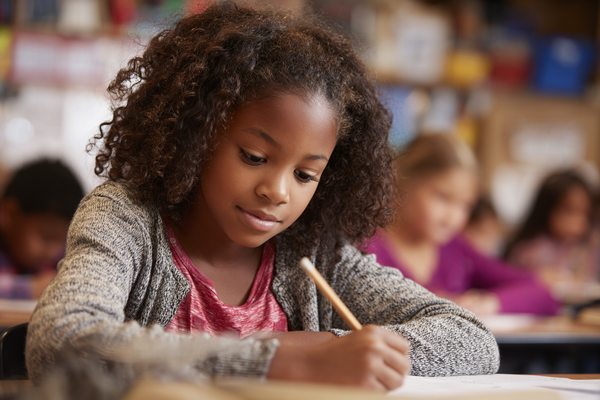 Unit Plan 21 (Grade 5 Social Studies): Principles of the Constitution