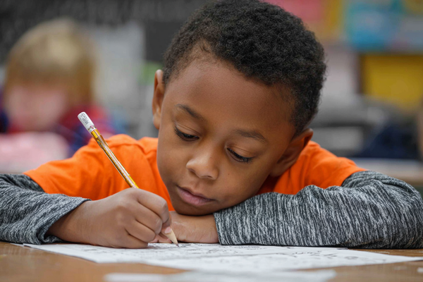 Unit Plan 35 (Grade 2 Social Studies): Citizenship in Action