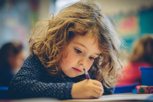 Unit Plan 34 (PreK Social Studies): Taking Action in Our Community