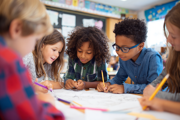 Unit Plan 24 (Grade 4 Science): Comparing Organisms