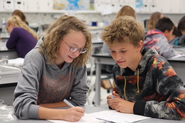 Unit Plan 24 (Grade 8 Science): Energy in Mechanical Systems