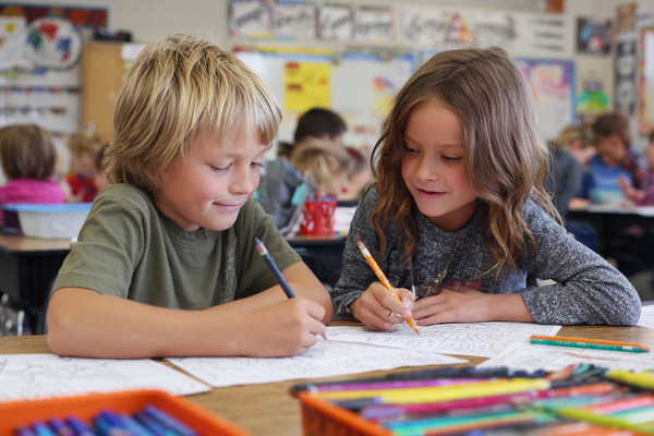 Unit Plan 31 (Grade 2 Science): Designing with Purpose