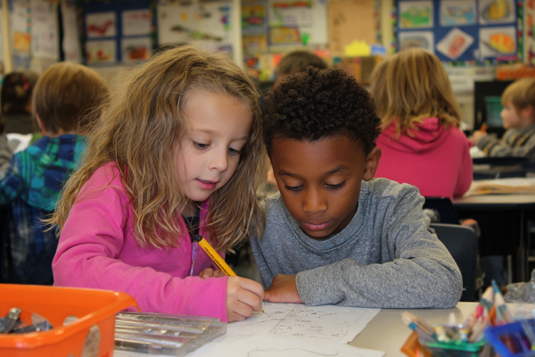 Unit Plan 12 (Grade 2 Science): Seed Dispersal Models