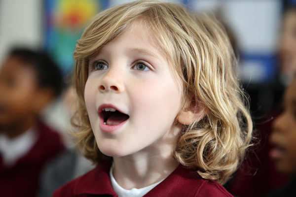 Unit Plan 13 (Grade 2 Music): Organizing Music Ideas