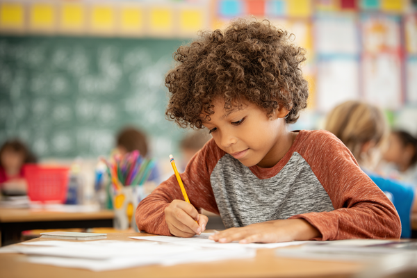 Lesson Plan (Grades 3–5): Data Detectives