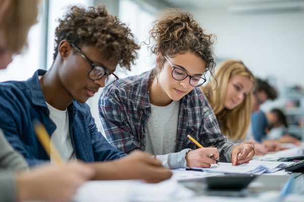 Lesson Plan (Grades 9-12): Financial Modeling & Simulation