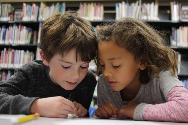 Unit Plan 25 (Grade 4 Library): Discussion That Builds Ideas