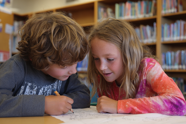 Unit Plan 33 (Grade 2 Library): Library Helpers and Shared Leadership